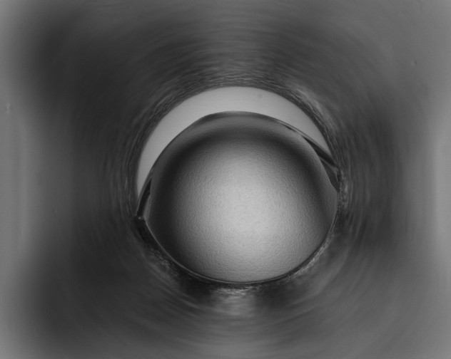 X0000093110170200710101028