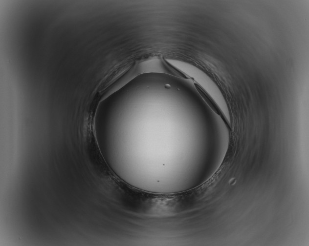 X0000093110172200710101028