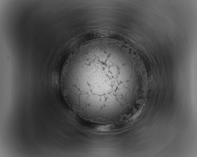 X0000093110178200710101028