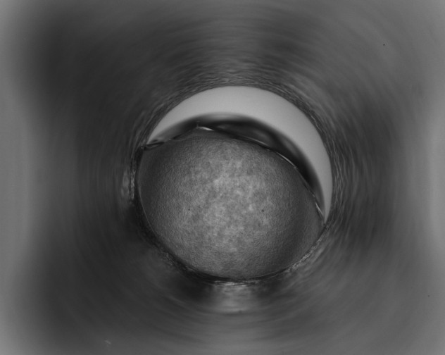 X0000093110180200710101028