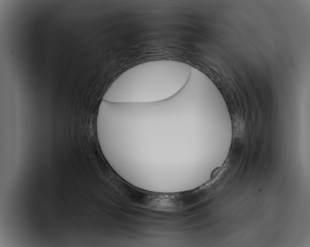 X0000093110182200710101028