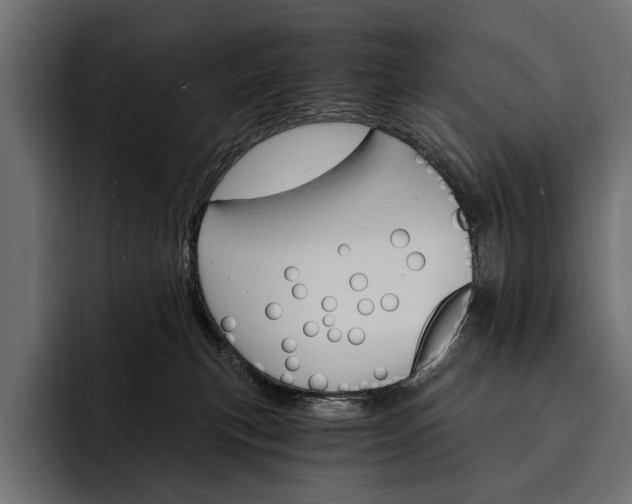 X0000093110183200710101028