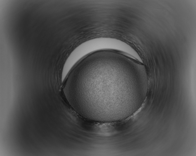 X0000093110186200710101028