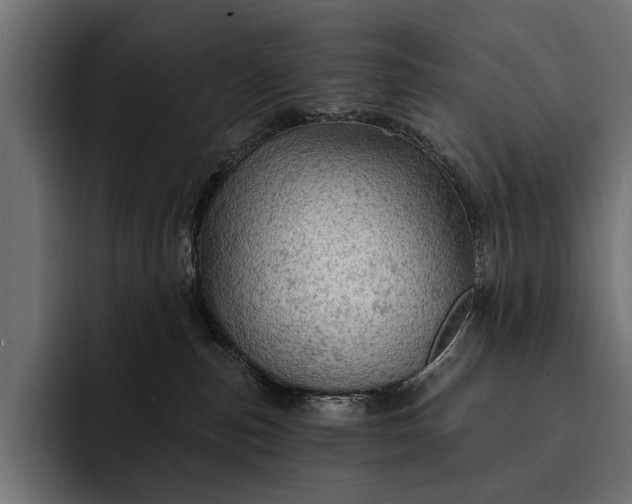 X0000093110187200710101028