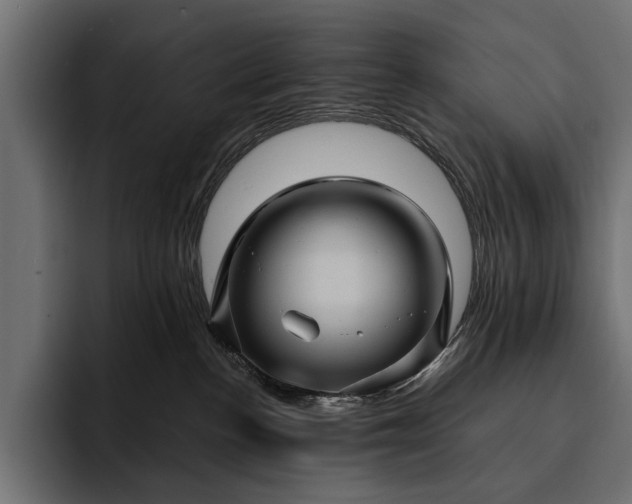 X0000093110188200710101028