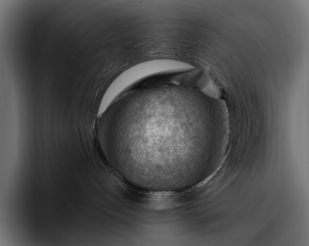 X0000093110192200710101028