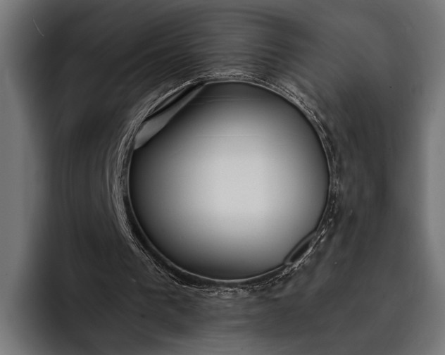 X0000093110193200710101028