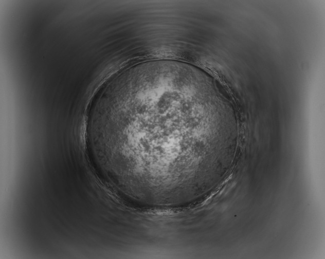 X0000093110194200710101028