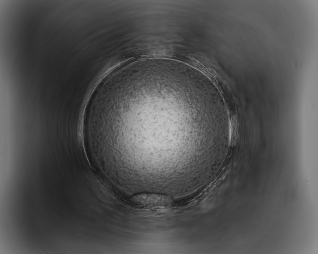 X0000093110195200710101028