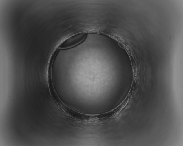 X0000093110196200710101028