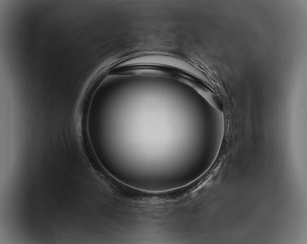 X0000093110197200710101028