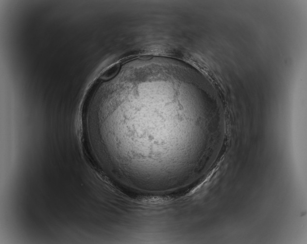 X0000093110198200710101028