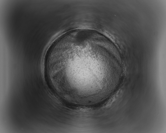 X0000093110199200710101028