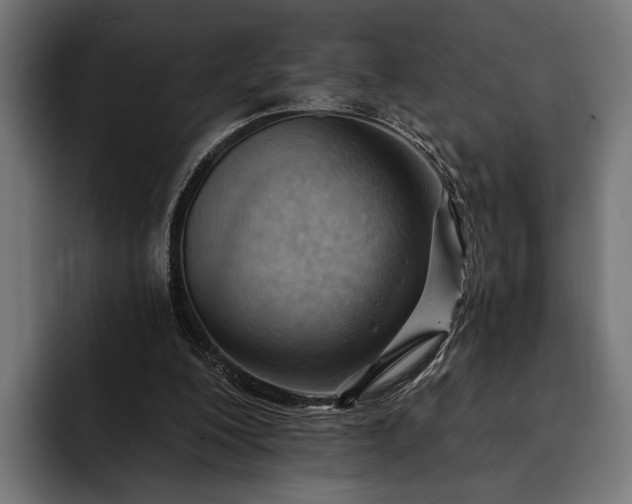 X0000093110200200710101028