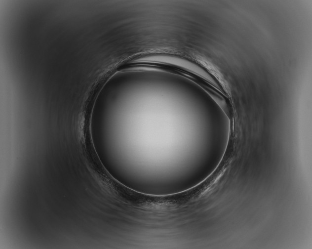 X0000093110201200710101028