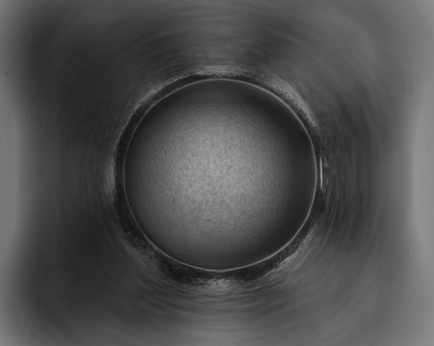 X0000093110204200710101028