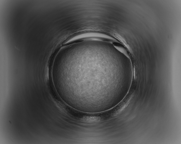 X0000093110205200710101028