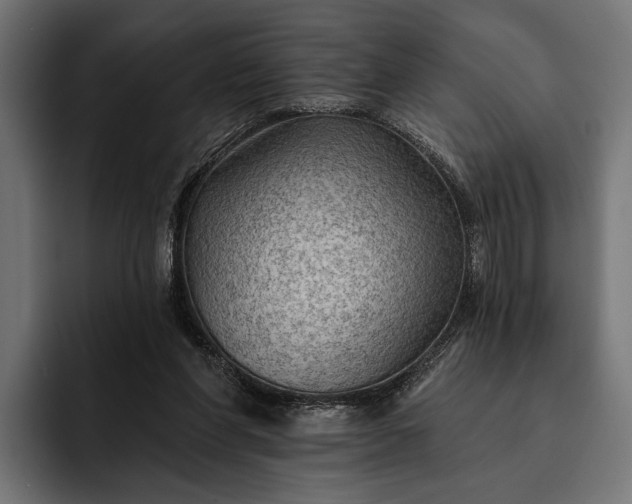 X0000093110206200710101028