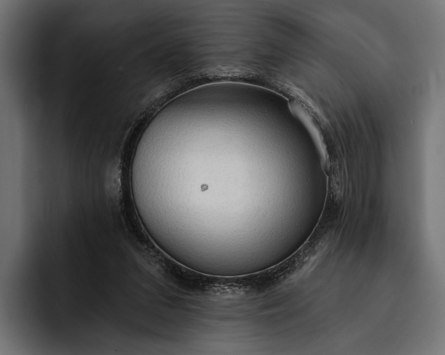 X0000093110207200710101028