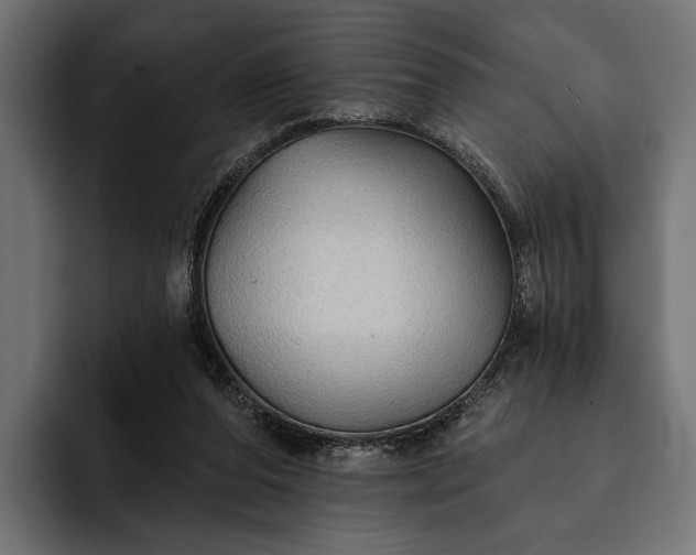 X0000093110208200710101028