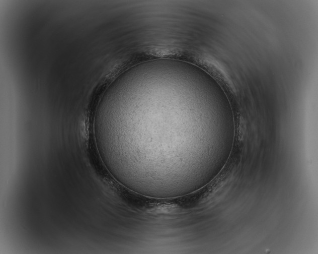 X0000093110210200710101028