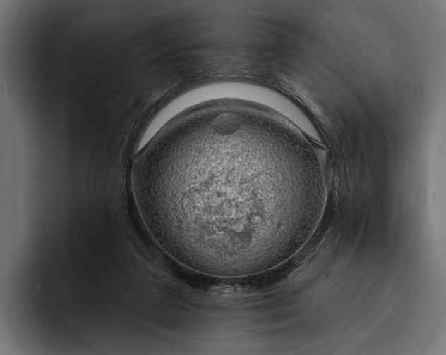 X0000093110211200710101028