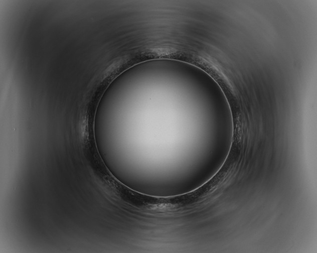 X0000093110212200710101028