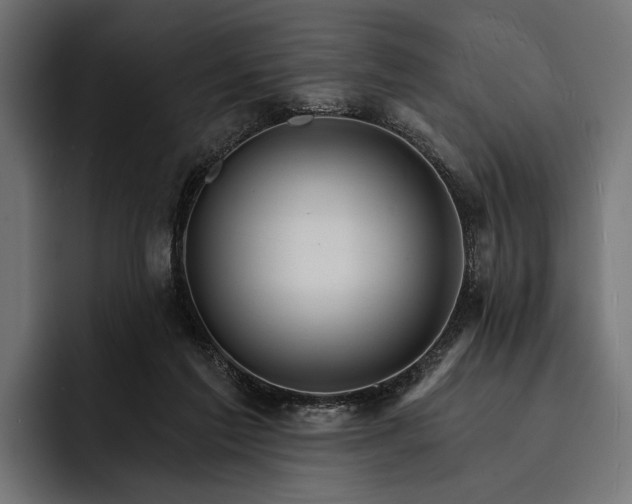 X0000093110213200710101028