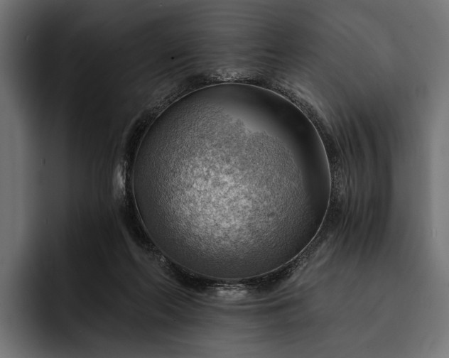 X0000093110214200710101028