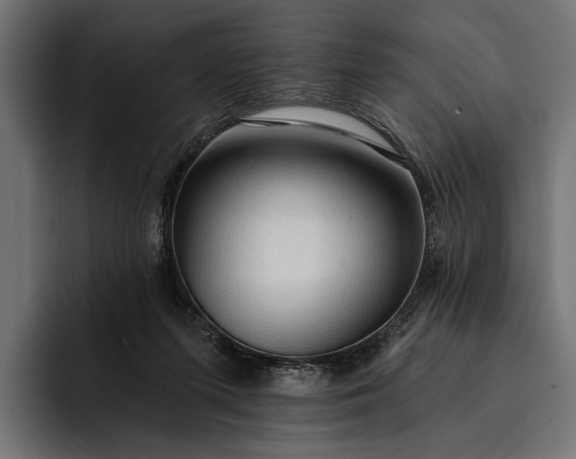 X0000093110215200710101028