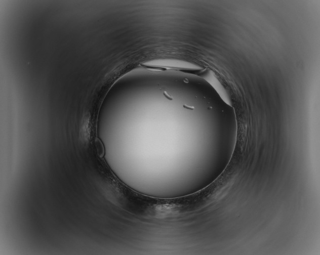 X0000093110216200710101028