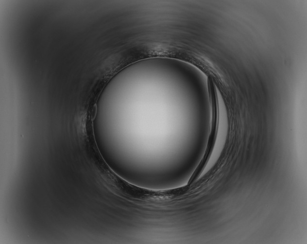 X0000093110217200710101028