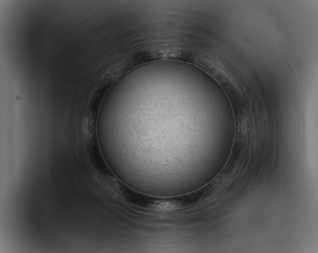 X0000093110218200710101027