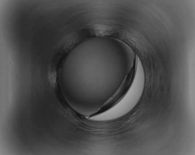 X0000093110219200710101027