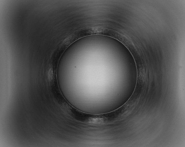 X0000093110220200710101027