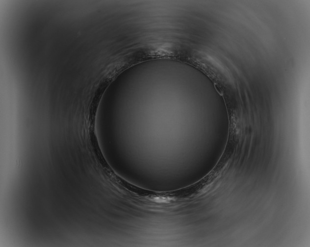 X0000093110223200710101027