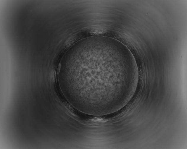 X0000093110227200710101027