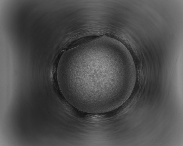 X0000093110229200710101027