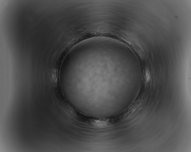 X0000093110232200710101027