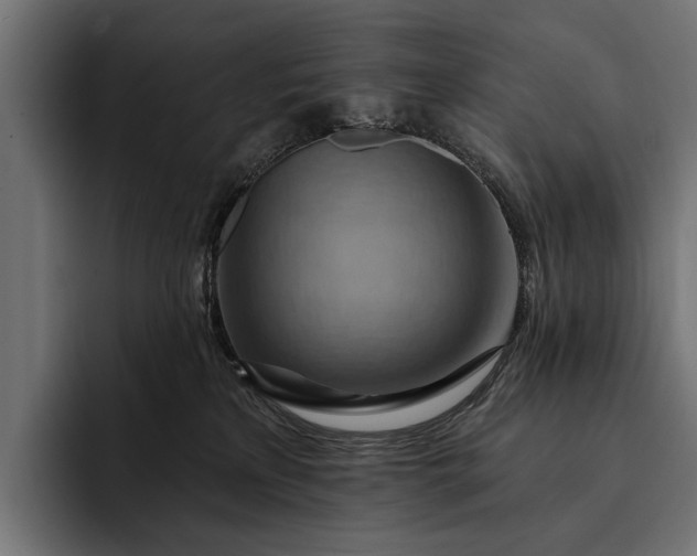 X0000093110233200710101027