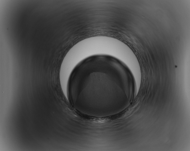 X0000093110235200710101027