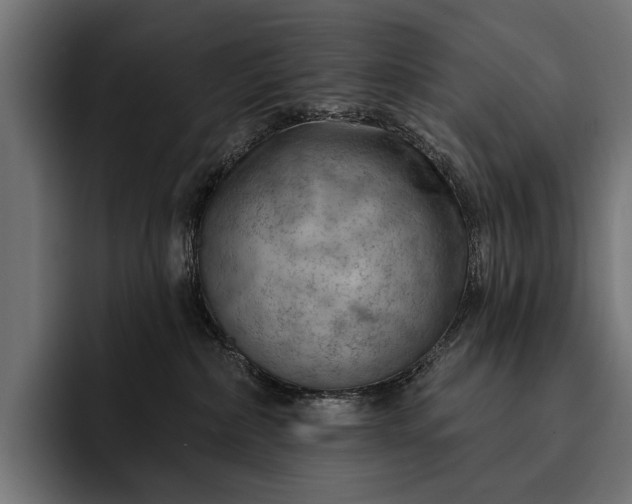 X0000093110236200710101027