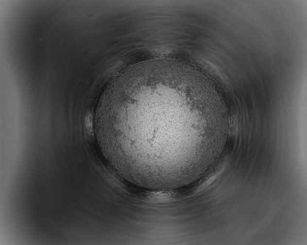 X0000093110238200710101027