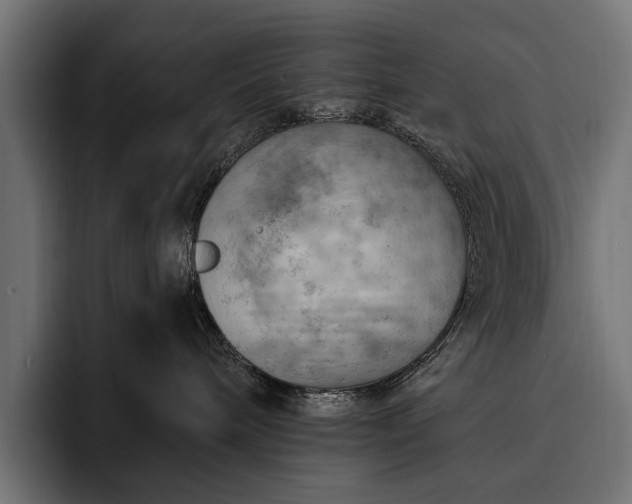 X0000093110240200710101027