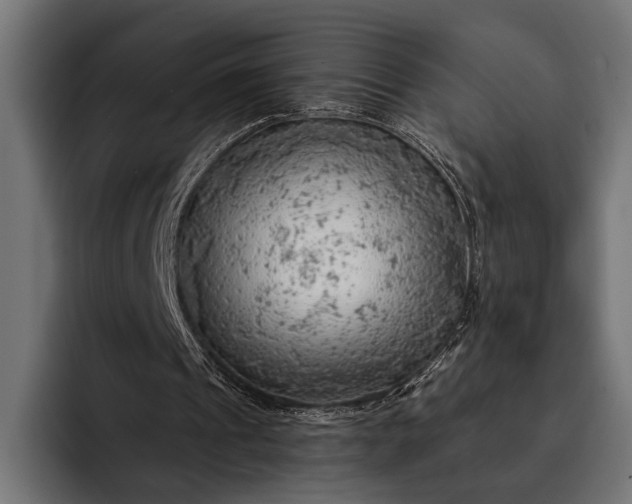 X0000093110241200710101027