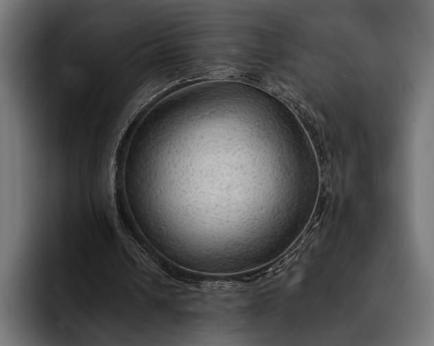 X0000093110242200710101027