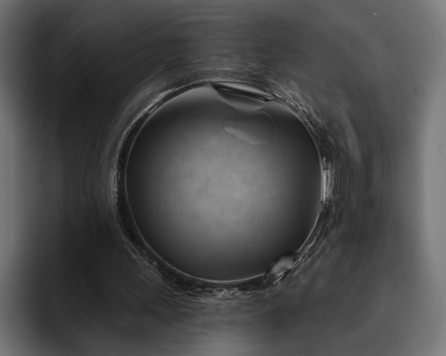 X0000093110243200710101027