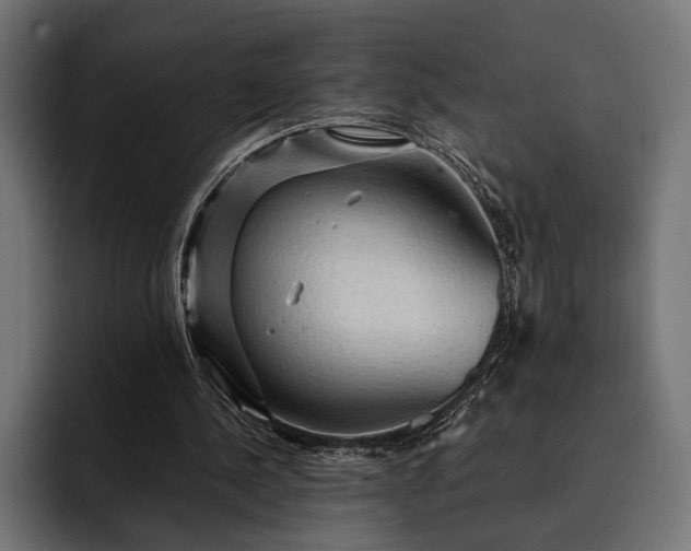 X0000093110244200710101027