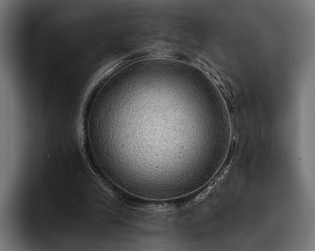 X0000093110245200710101027