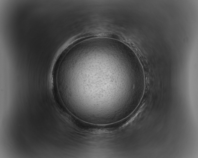 X0000093110246200710101027